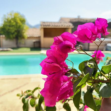 2 Hebergements - 10 Couchages - Parking, Piscine, Jacuzzi - Convivialite Roquebrune-sur Argens Dış mekan fotoğraf