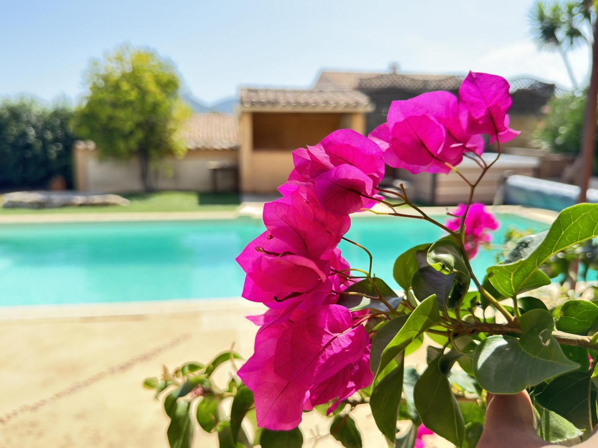 2 Hebergements - 10 Couchages - Parking, Piscine, Jacuzzi - Convivialite Roquebrune-sur Argens Dış mekan fotoğraf